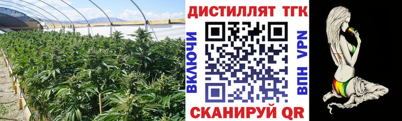 Дистиллят ТГК вейп  Кадников 