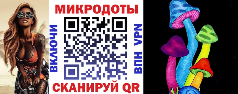 Галлюциногенные грибы Psilocybe  Кадников 